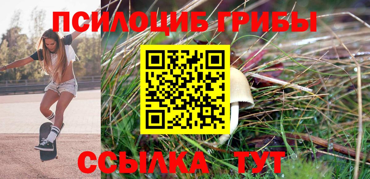 Галлюциногенные грибы мухоморы Узловая